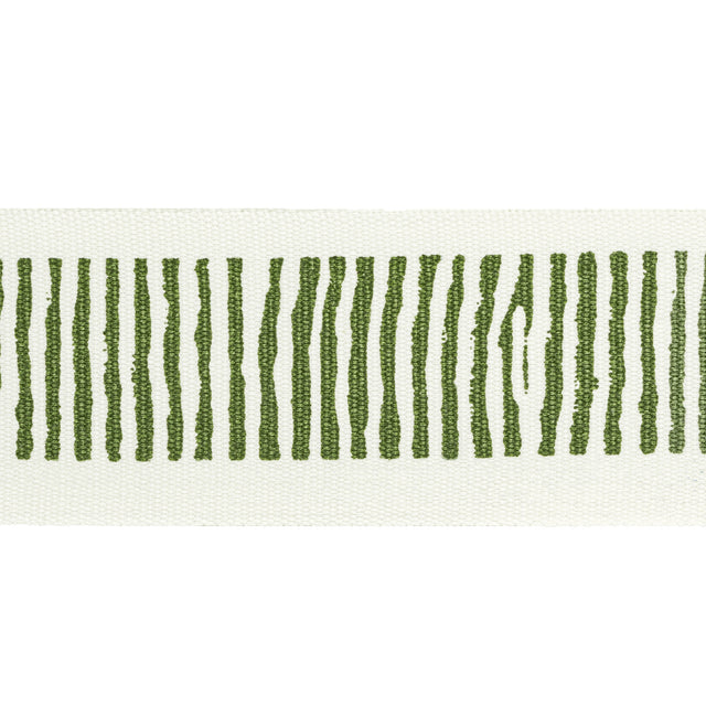 STOUT HALI-10 HALIFAX TAPE 10 AVOCADO Fabric - Eades Wallpaper & Fabric