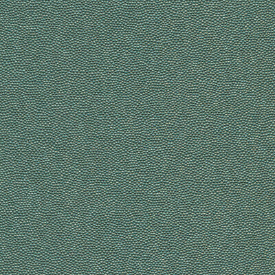 KRAVET DESIGN HAMMER.35.0 KRAVET DESIGN HAMMER-35 Fabric - FAUX LEATHER IV