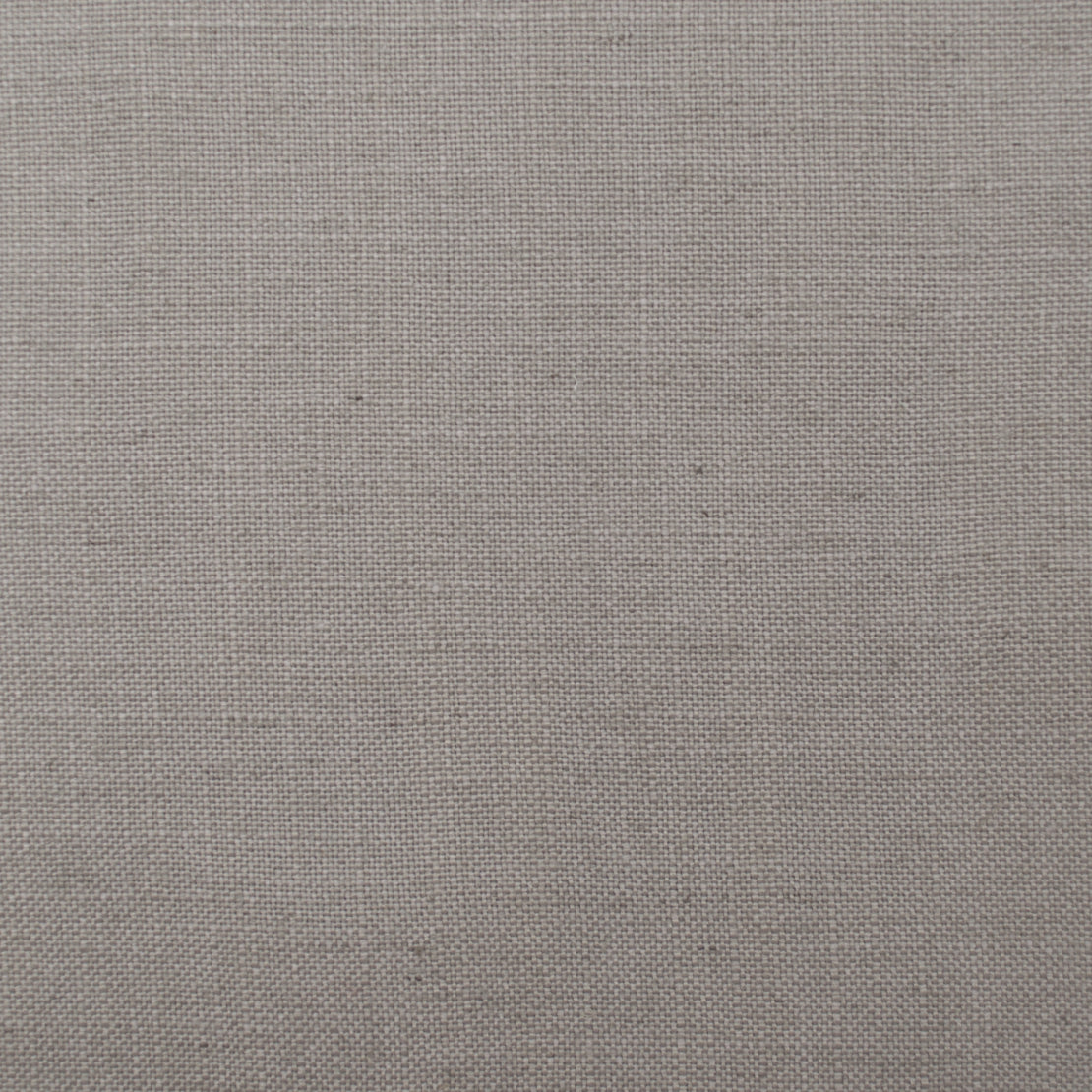 Eade’s HAMPTON CHINCILLA CHINCILLA