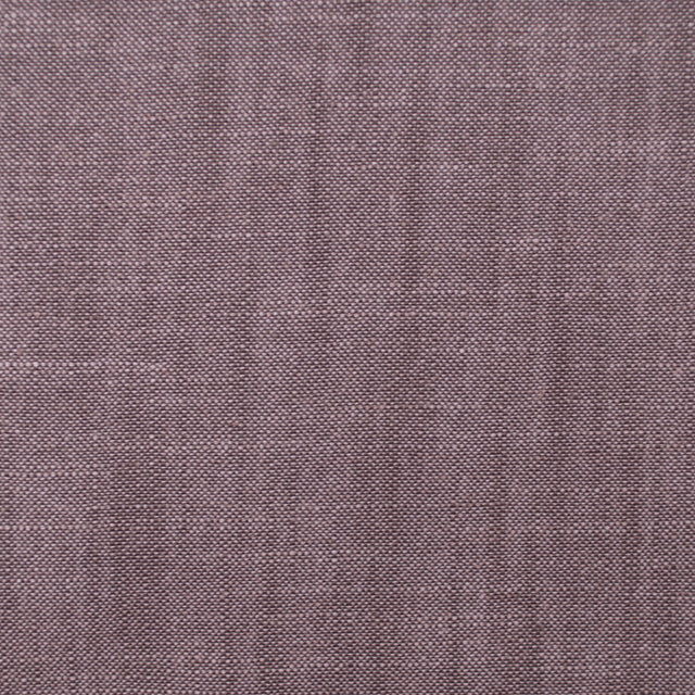 Eade’s HAMPTON ORCHID ORCHID