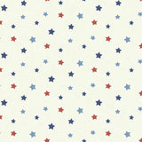 Chesapeake HAS01323 Yoni Navy Dancing Stars Wallpaper