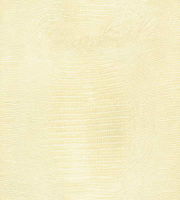 KRAVET COUTURE HAUTE CROC.1.0 HAUTE CROC IVORY Fabric - Eade's Wallpaper