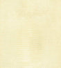 KRAVET COUTURE HAUTE CROC.1.0 HAUTE CROC IVORY Fabric - Eade's Wallpaper