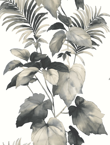 Harry & Grace HG10000 Wallpaper - Eade's Wallpaper & Fabric