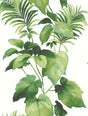 Harry & Grace HG10004 Wallpaper - Eade's Wallpaper & Fabric
