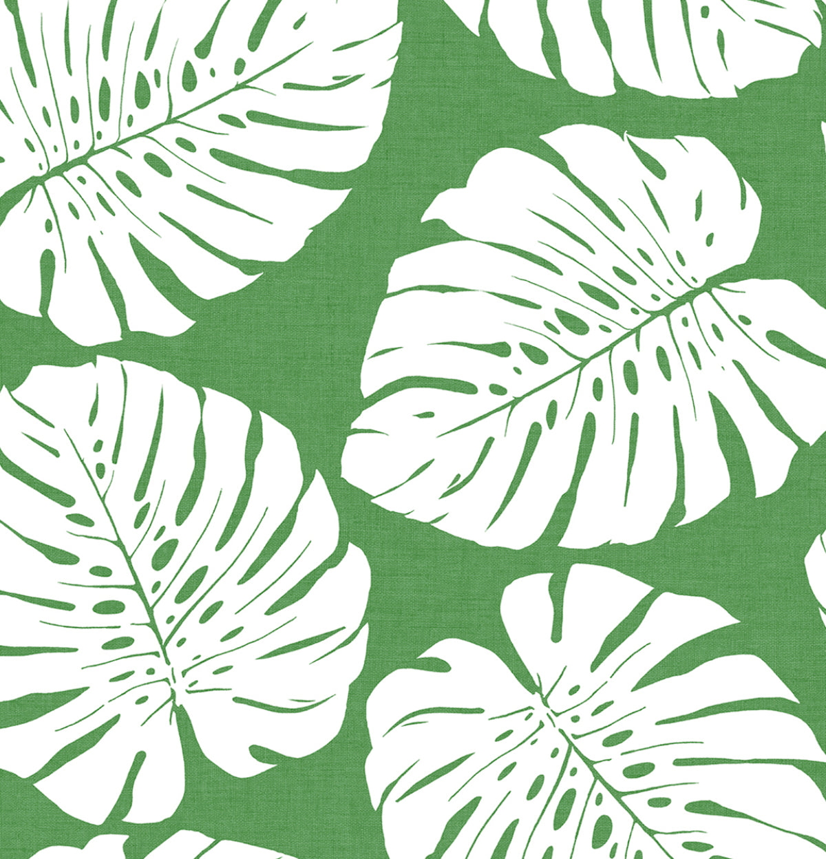 Harry&Grace HG10504 Monstera Leaf