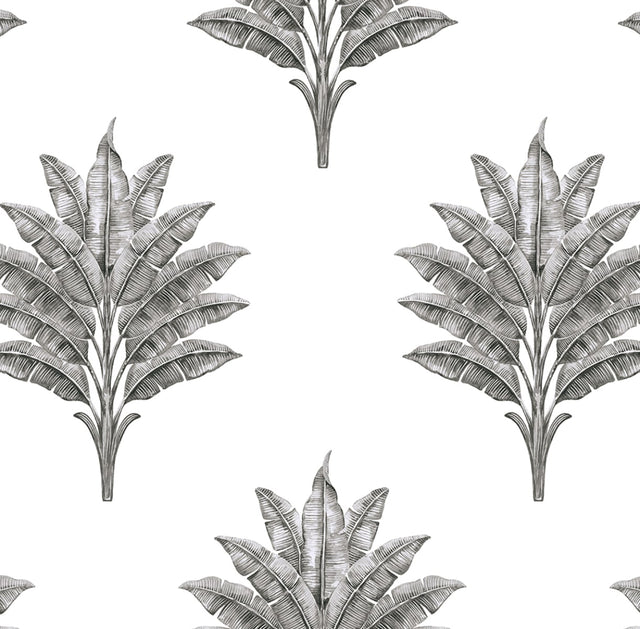 Harry & Grace HG10600 Wallpaper - Eade's Wallpaper & Fabric
