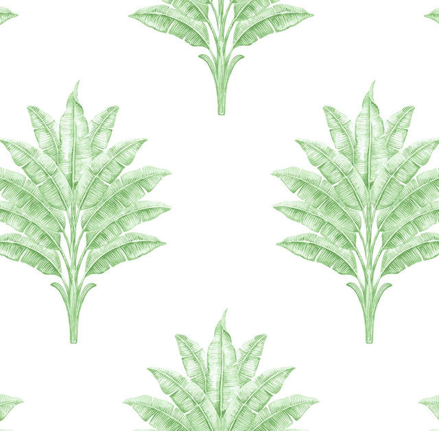 Harry & Grace HG10604 Wallpaper - Eade's Wallpaper & Fabric