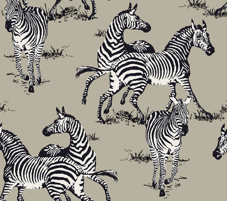 Harry & Grace HG11110 Wallpaper - Eade's Wallpaper & Fabric