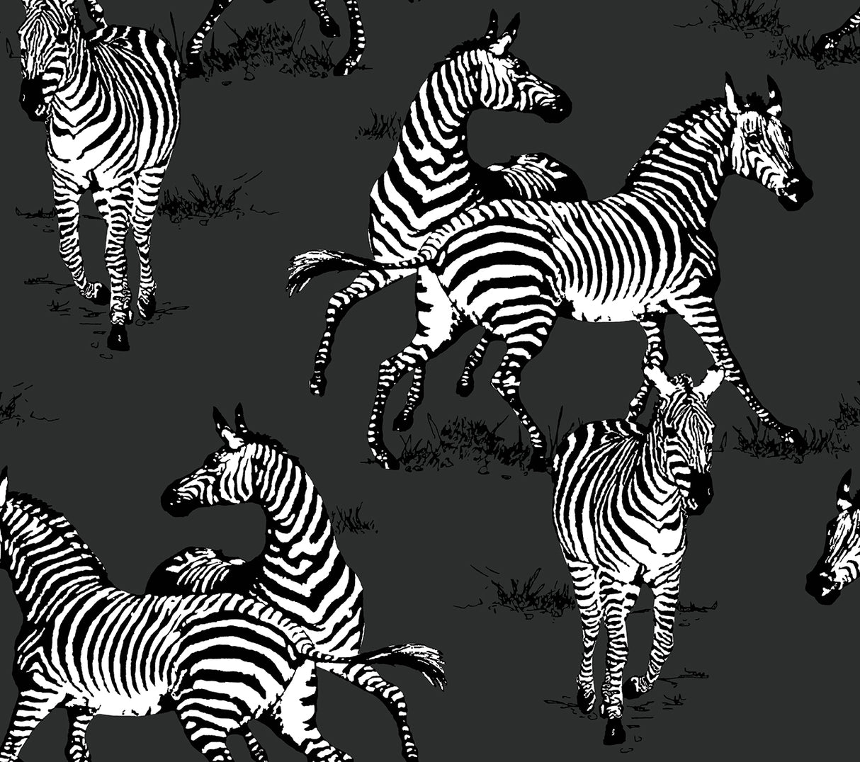 Harry&Grace HG11120 Playful Zebras