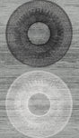 Harry & Grace HG11600 Wallpaper - Eade's Wallpaper & Fabric