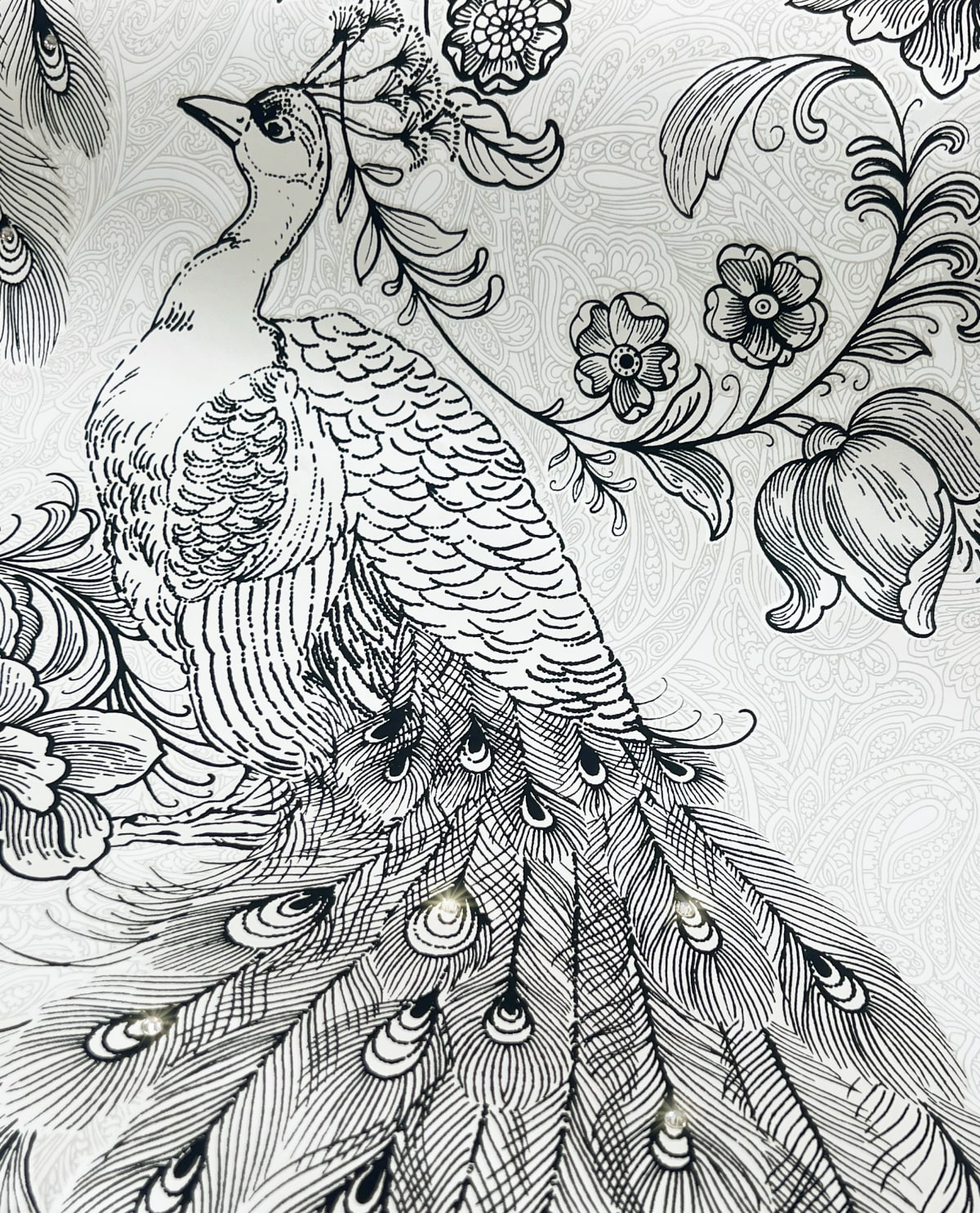 Harry & Grace HG12200 Wallpaper - Eade's Wallpaper & Fabric