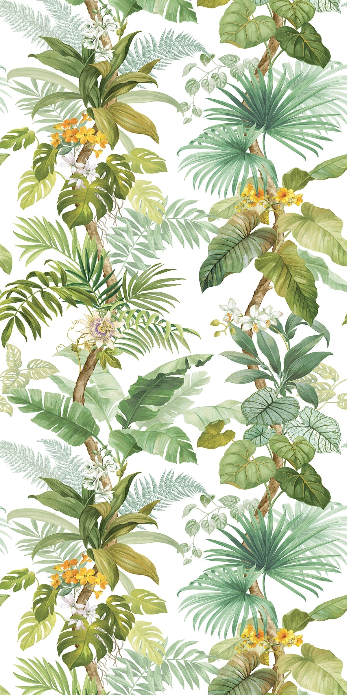 Harry & Grace HG12304M Wallpaper - Eade's Wallpaper & Fabric