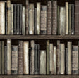 Harry & Grace HG13200 Faux Bookshelves Wallpaper