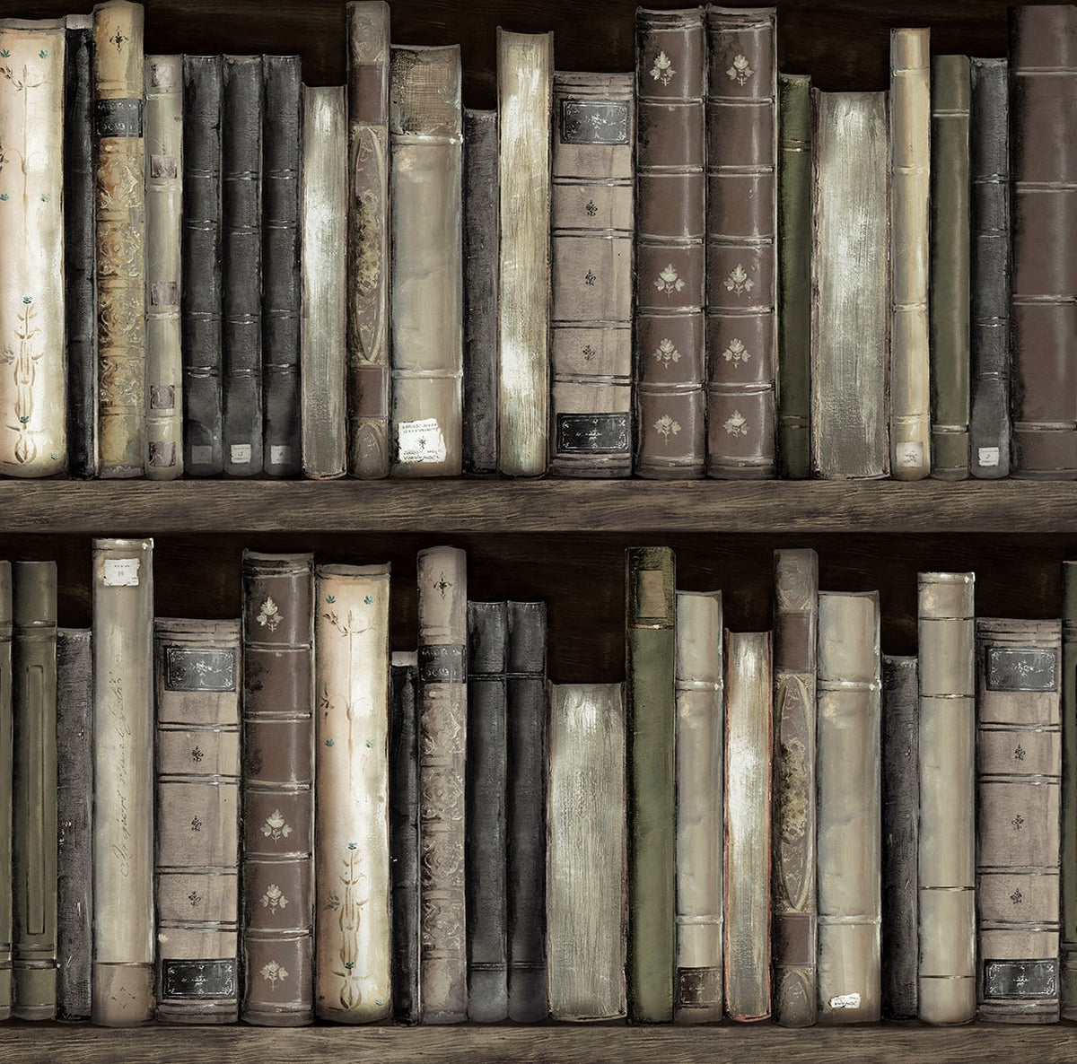 Harry & Grace HG13200 Faux Bookshelves Wallpaper