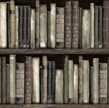 Harry & Grace HG13200 Faux Bookshelves Wallpaper