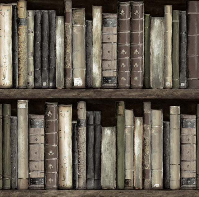 Harry & Grace HG13200 Faux Bookshelves Wallpaper