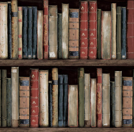 Harry & Grace HG13205 Faux Bookshelves Wallpaper