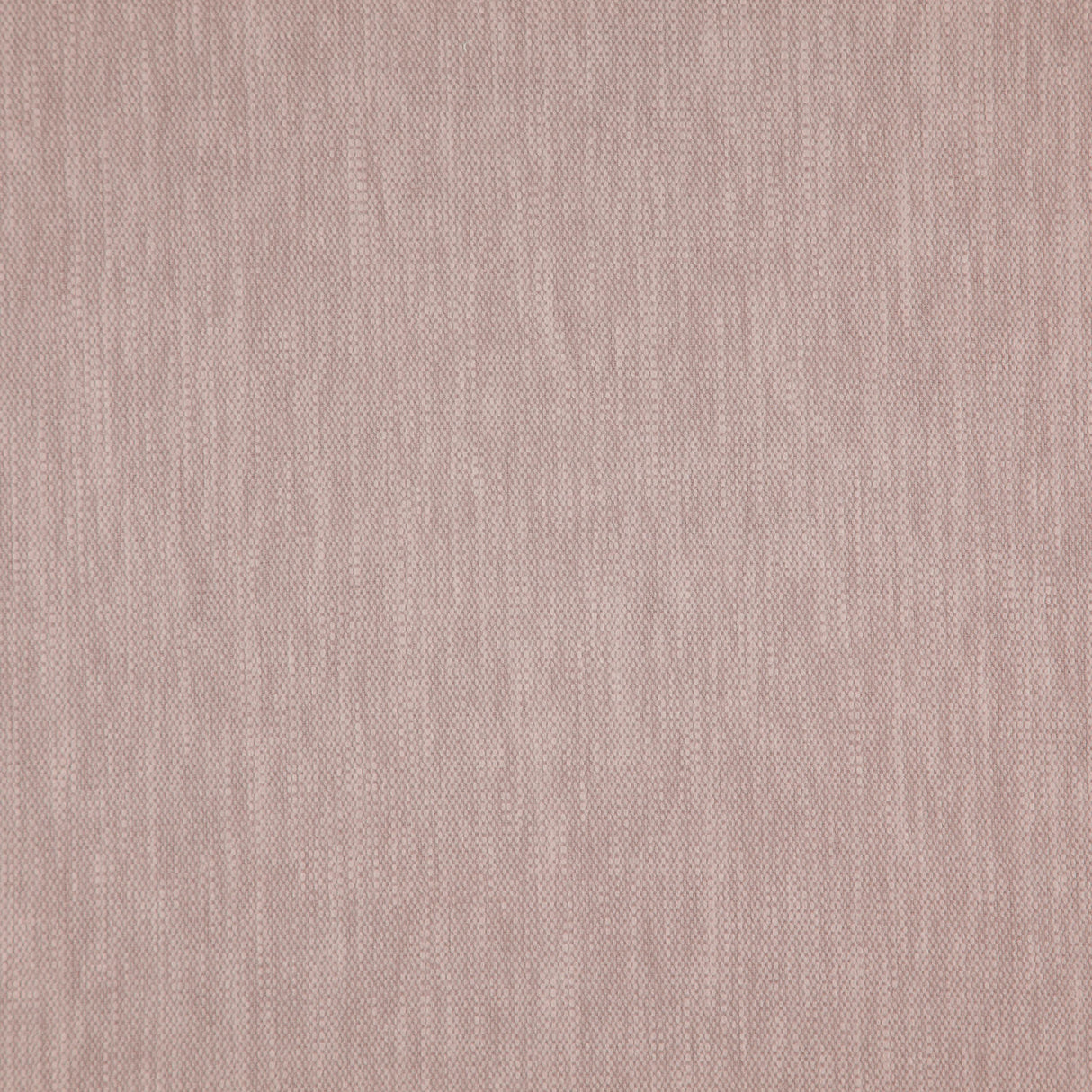 Eade’s # 13 BLOSSOM