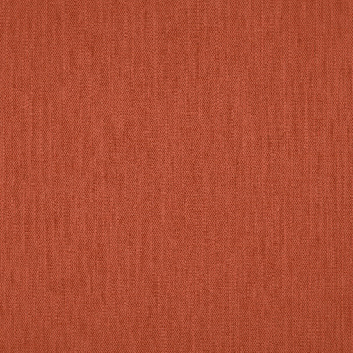 Eade’s # 18 PUMPKIN