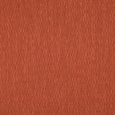 Eade’s # 18 PUMPKIN