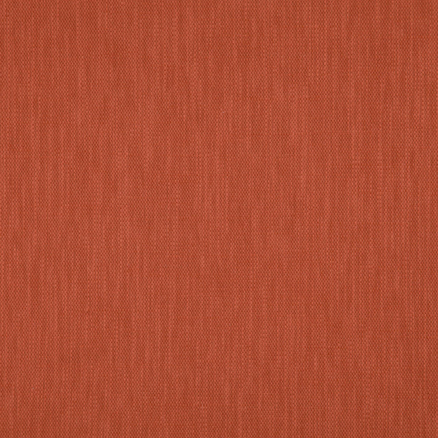 Eade’s # 18 PUMPKIN