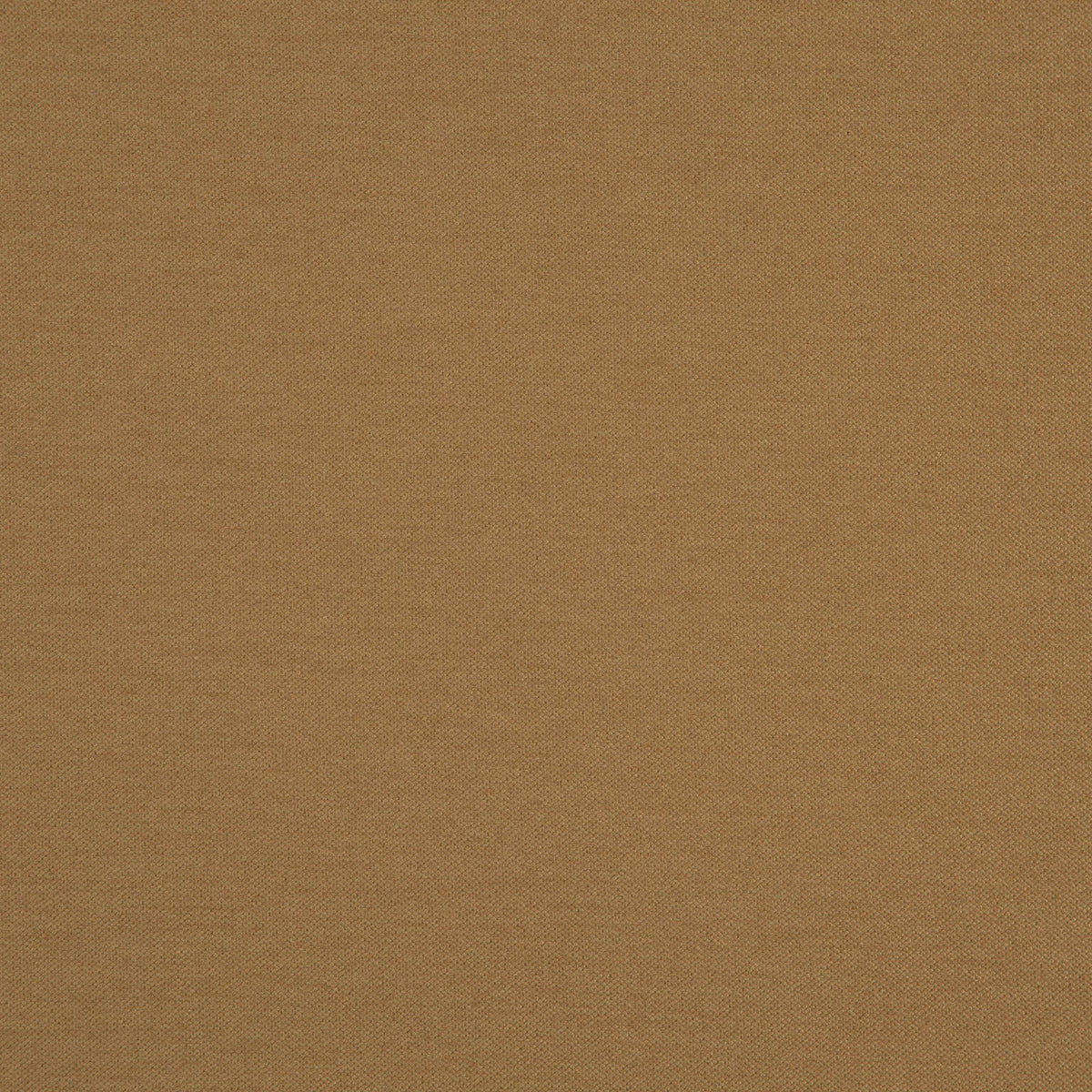 Eade’s # 06 CAMEL