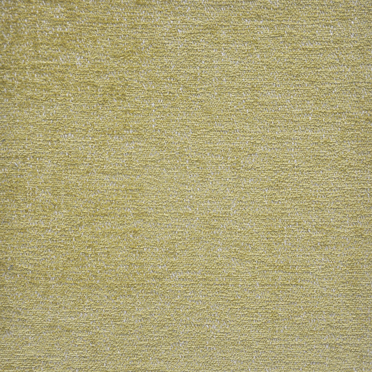 Eade’s # 245 OAK MOSS