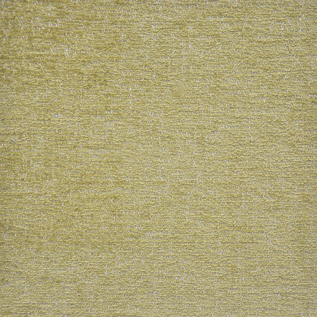 Eade’s # 245 OAK MOSS