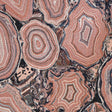 Crypton Home 42-J6811 HILDEGARD Fabric - Eade's Wallpaper & Fabric