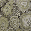 Crypton Home 79-J6821 HILDEGARD Fabric - Eade's Wallpaper & Fabric
