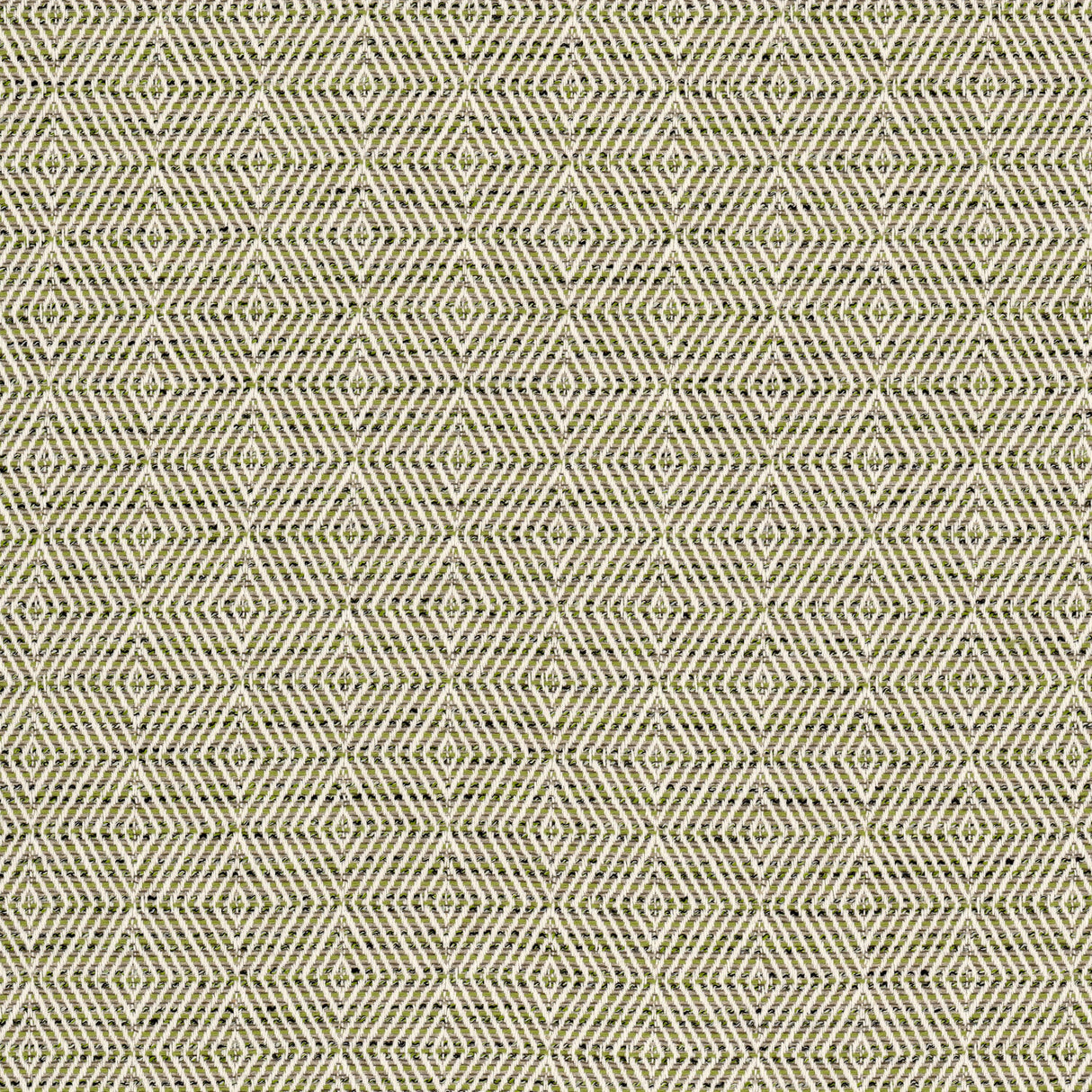 STOUT HIPS-2 HIPSTER 2 JUNGLE Fabric - Eades Wallpaper & Fabric