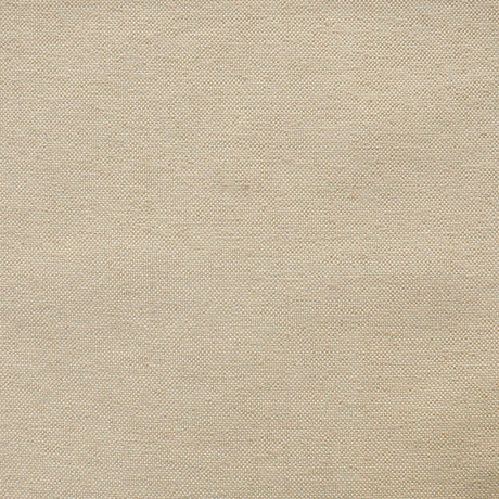 Eade’s # 808 SAND DOLLAR