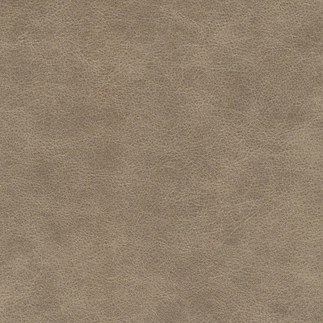 Eade’s # 700 MOUSE