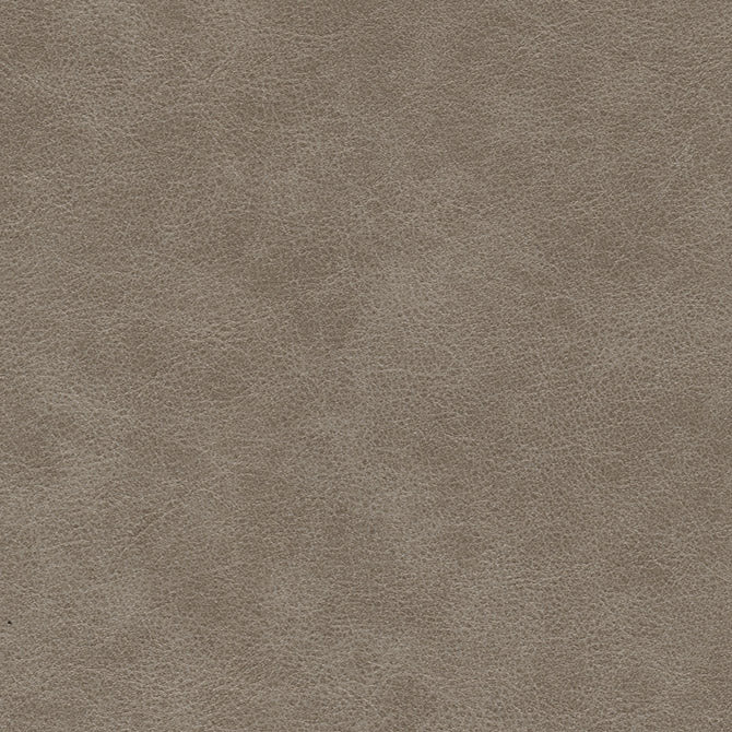 Eade’s # 704 MOLLUSK