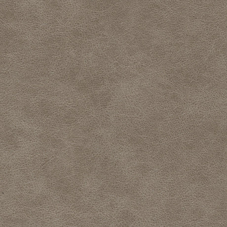 Eade’s # 704 MOLLUSK