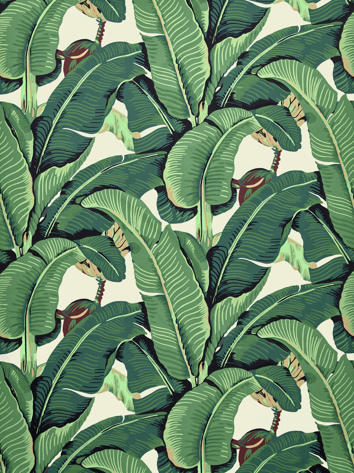 Scalamandre HN 000142010 GREEN HINSON PALM - COTTON PRINT Fabric