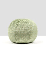 Scalamandre HN 0005RADK27332 PETAL VELVET PILLOW - Pillow Co