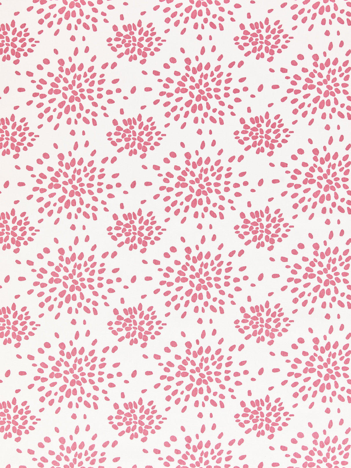 Scalamandre HN 000DF1020 CUPCAKE PINK FIREWORKS COTTON PRINT Fabric