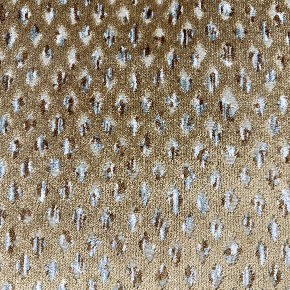 Eade’s HOLLIS CARAMEL CARAMEL