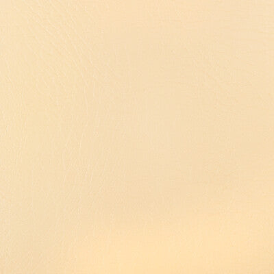 KRAVET DESIGN HONOR.1.0 KRAVET DESIGN HONOR-1 Fabric - FAUX LEATHER IV