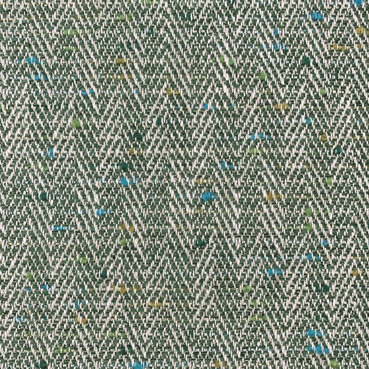 Eade’s HORACE EVERGREEN EVERGREEN