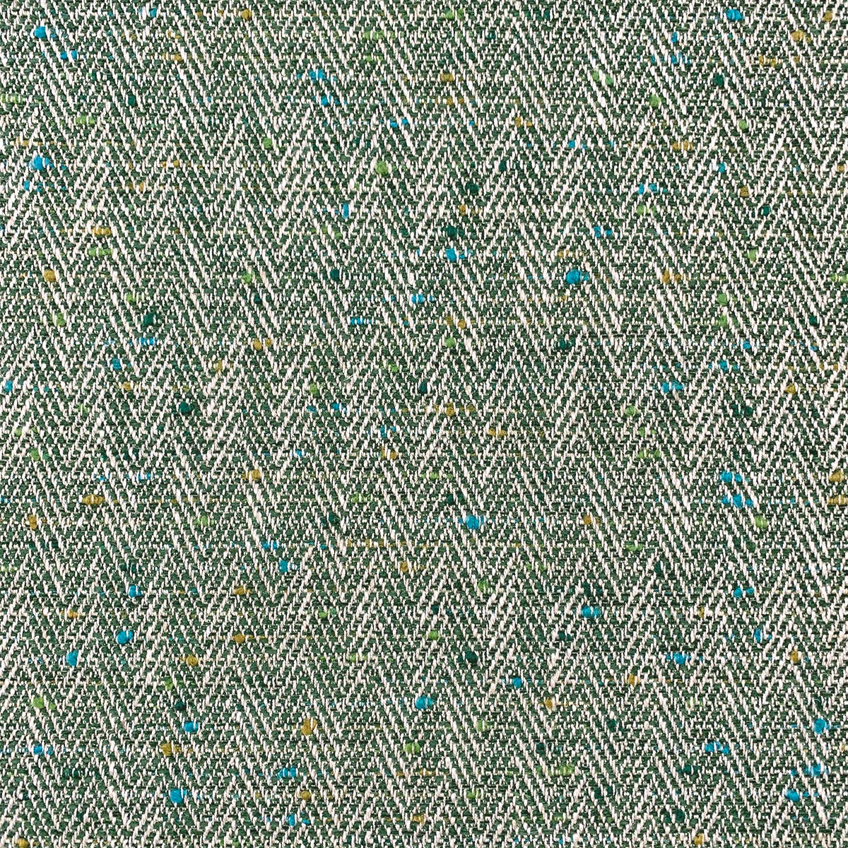 Eade’s HORACE EVERGREEN EVERGREEN