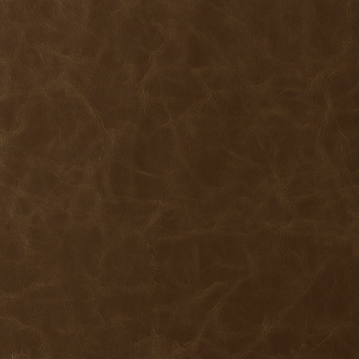 Sta-Kleen 36-J9591 HOWDY Fabric