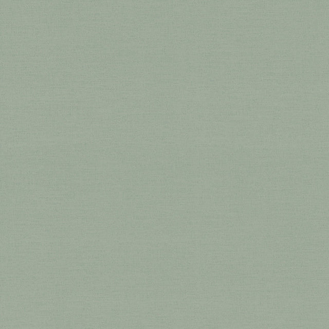 Galerie Havana 2 Plain Texture Green Wallpaper HV41063