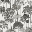 Galerie Havana 2 Tree Leaf Black Wallpaper HV41085
