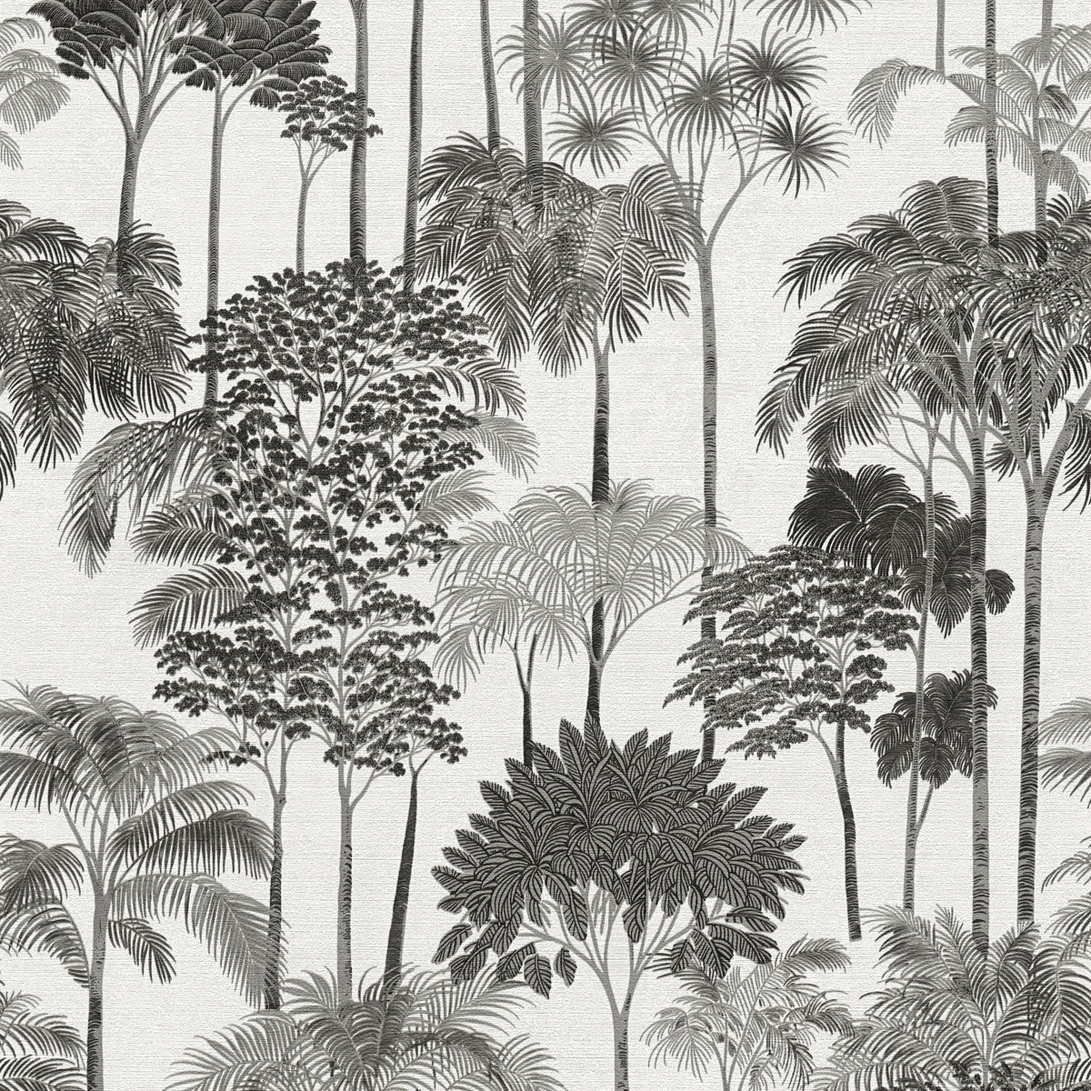 Galerie Havana 2 Tree Leaf Black Wallpaper HV41085