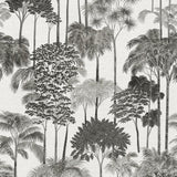Galerie Havana 2 Tree Leaf Black Wallpaper HV41085