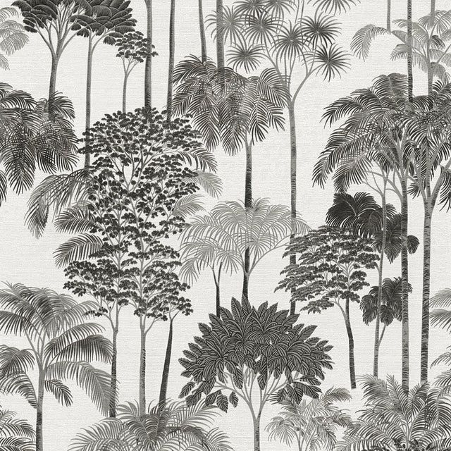 Galerie Havana 2 Tree Leaf Black Wallpaper HV41085