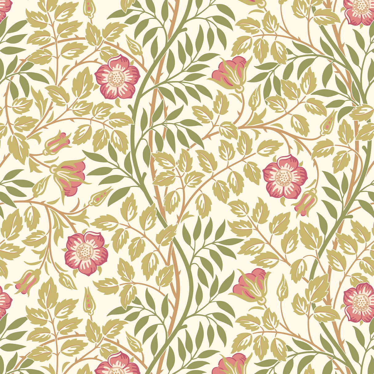 Eade’s Rose Pink